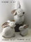 O jardim decorativo pequeno do coelho Ornaments animais para a casa/pátio fornecedor