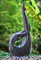 Fontes de água modernas da escultura do GYM de 48 polegadas com o OEM aceitável fornecedor